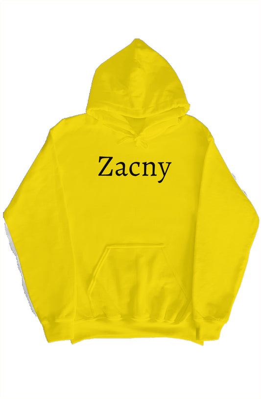 Large Brand Name Hoodie